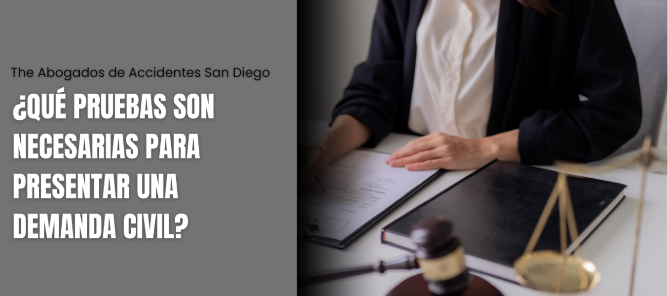¿Qué pruebas son necesarias para presentar una demanda civil?