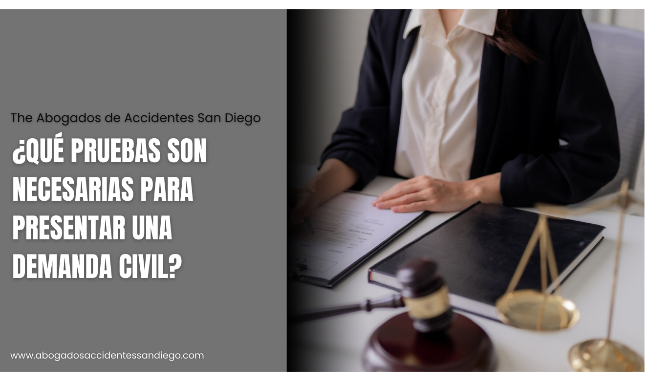 qué evidencia necesito para una demanda