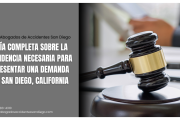 qué evidencia necesito para demanda San Diego
